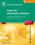 Praxis der chinesischen Medizin