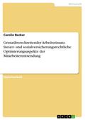 Grenzüberschreitender Arbeitseinsatz - Steuer- und sozialversicherungsrechtliche Optimierungsaspekte der Mitarbeiterentsendung