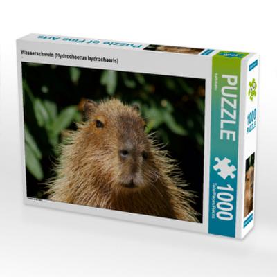CALVENDO Puzzle Wasserschwein (Hydrochoerus hydrochaeris) | 1000 Teile Lege-Größe 64x48cm Foto-Puzzle für glückliche Stunden