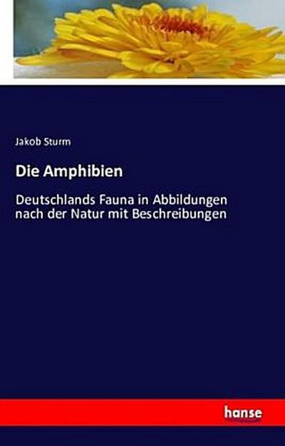 Die Amphibien