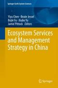 Ecosystem Services and Management Strategy in Chin
