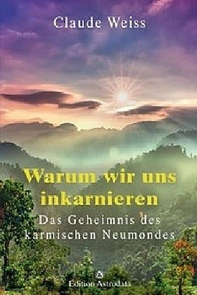 Warum wir uns inkarnieren