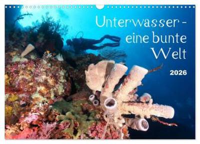 Unterwasser - eine bunte Welt (Wandkalender 2026 DIN A3 quer), CALVENDO Monatskalender