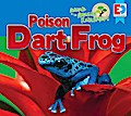 Animals of the Amazon Rainforest: Poison Dart Frog