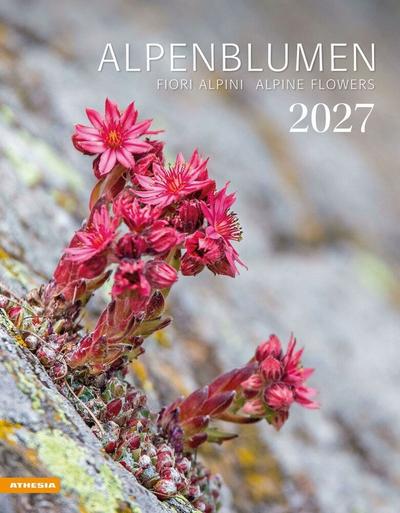 Alpenblumen Kalender 2027 