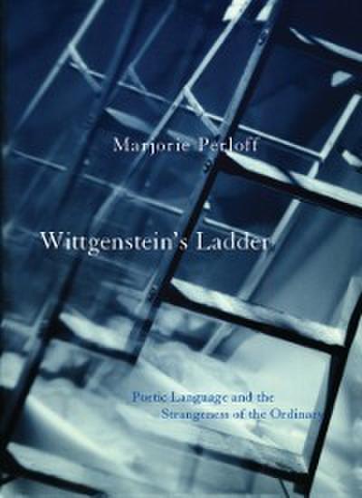 Wittgenstein’s Ladder