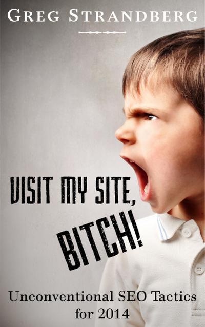 Visit My Site, Bitch! Unconventional SEO Tactics for 2014 (Increasing Website Traffic Series, #2)