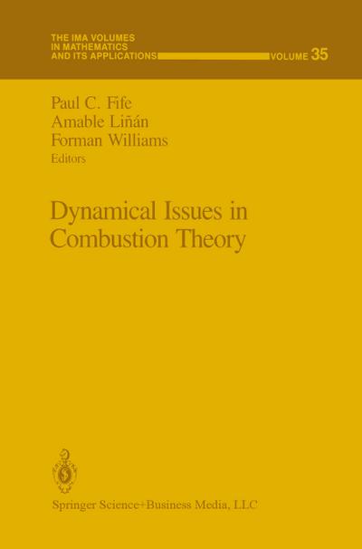 Dynamical Issues in Combustion Theory