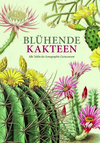 Blühende Kakteen