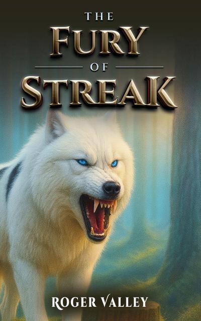 THE FURY OF STREAK
