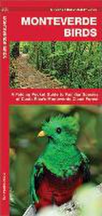 Monteverde Birds