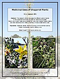 Medicinal Uses of Chaparral Plants