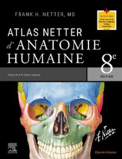 Atlas Netter d’anatomie humaine