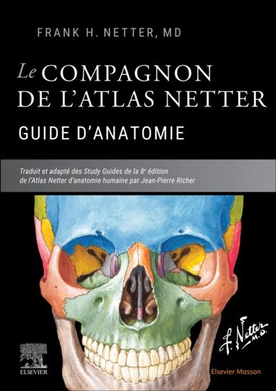 Le compagnon de l’atlas Netter - Guide d’anatomie