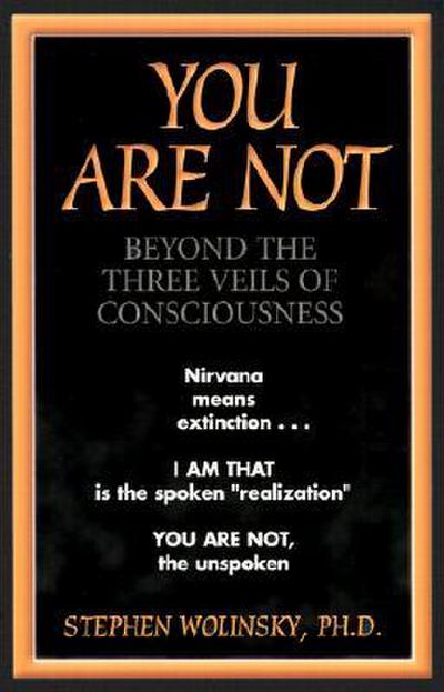 You Are Not: Beyond the Three Veils of Consciousness