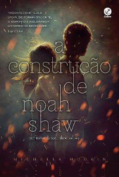 A construção de Noah Shaw