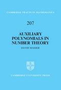 Auxiliary Polynomials in Number Theory