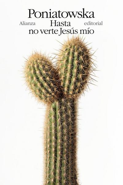 Hasta no verte Jesús mío