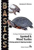 Spotted Turtle and North American Wood Turtle