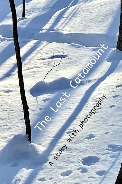 The Last Catamount