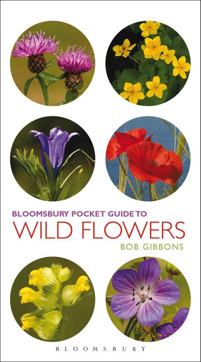 Pocket Guide To Wild Flowers