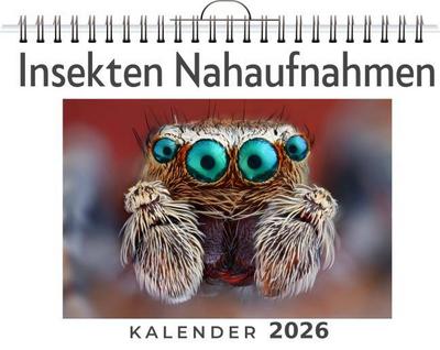 Insekten Nahaufnahmen