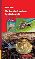 Die Landschnecken Deutschlands: Finden - Erkennen - Bestimmen (Quelle & Meyer Bestimmungsbücher)