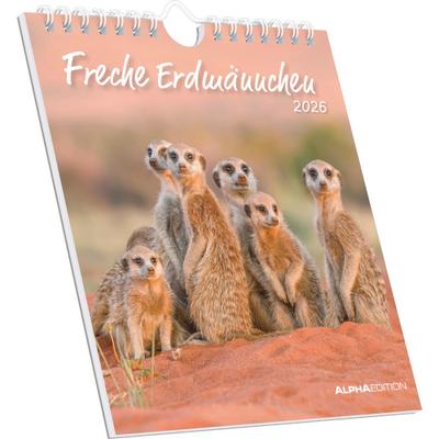Freche Erdmännchen 2026 - Postkartenkalender 16x17 cm