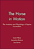 The Horse in Motion