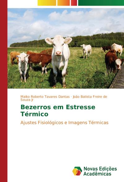 Bezerros em Estresse Térmico