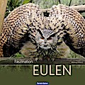 Faszination Eulen