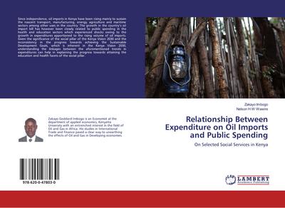Relationship Between Expenditure on Oil Imports and Public Spending