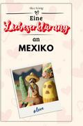 Eine Liebeserklärung an Mexiko