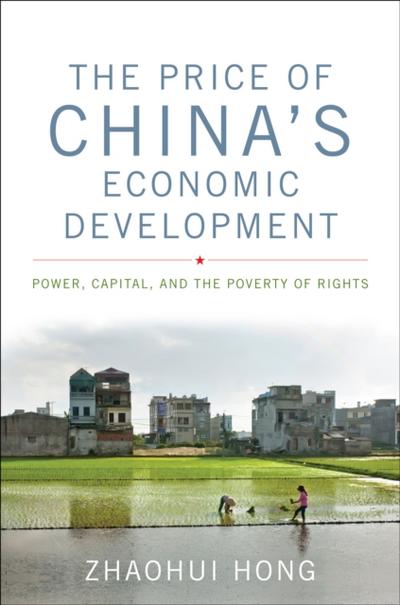 The Price of China’s Economic Development