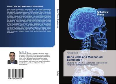 Bone Cells and Mechanical Stimulation