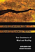The Crack in the Cosmic Egg