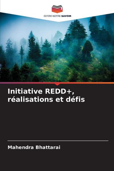 Initiative REDD+, réalisations et défis