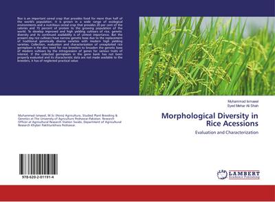 Morphological Diversity in Rice Acessions
