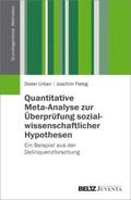 Quantitative Meta-Analyse zur Überprüfung sozialwi