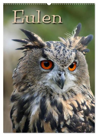 Eulen (Wandkalender 2026 DIN A2 hoch), CALVENDO Monatskalender