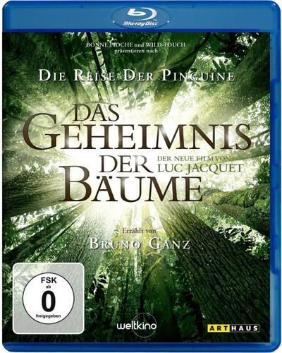 Das Geheimnis der Bäume