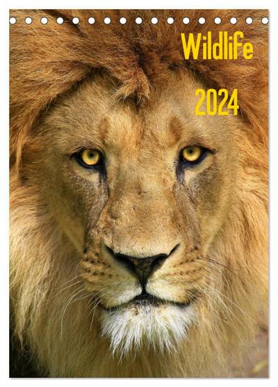 Wildlife 2024 (Tischkalender 2024 DIN A5 hoch), CALVENDO Monatskalender