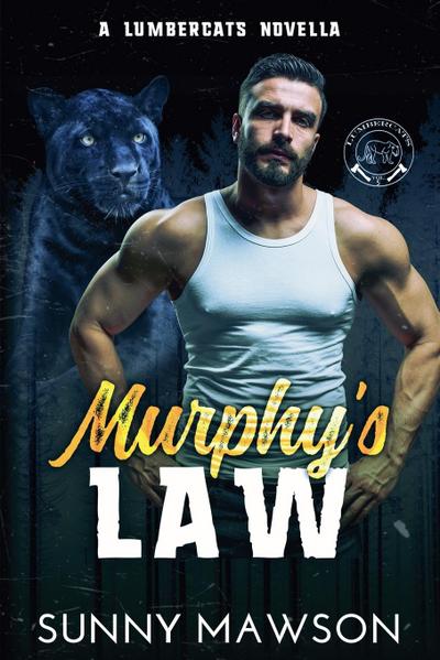 Murphy’s Law