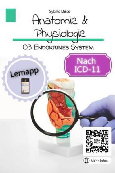 Anatomie Physiologie Band 03: Endokrines System