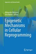 Epigenetic Mechanisms in Cellular Reprogramming