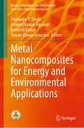 Metal Nanocomposites for Energy and Environmental Applications