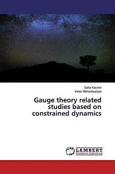 Gauge theory related studies based on constrained dynamics