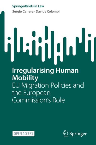 Irregularising Human Mobility