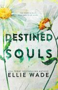 Destined Souls (The Beautiful Souls Collection, #5)
