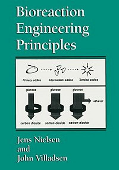 Bioreaction Engineering Principles